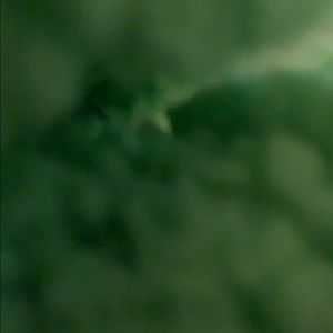 Meet your Posher, Sergio